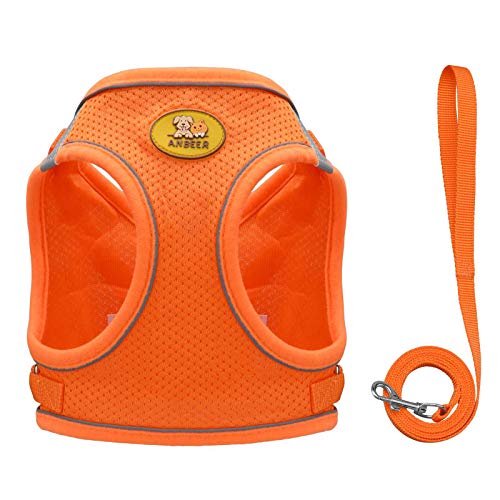 Anbeer Arnés Pecho para Gato Perro Pequeño y Correa 150cm, Ajustable con Reflectantes de Tela de Malla Suave y Transpirable (L, Naranja)