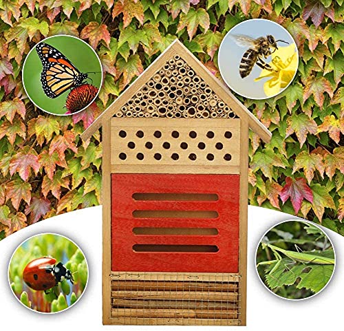 ANCLLO Casa de insectos de madera natural abeja hotel mariposa hábitat para jardines, mariquitas, cortador de hojas de mariposa y muchos otros insectos beneficiosos