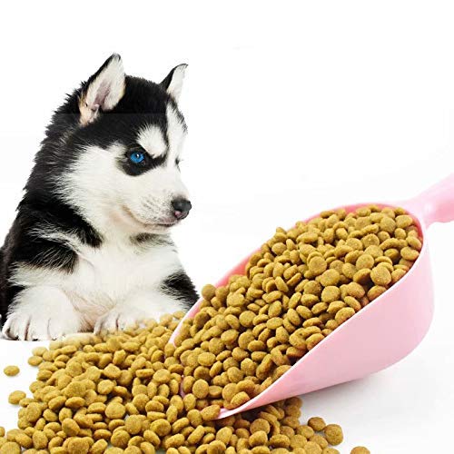 Ancoo 3 piezas de mango de plástico para mascotas, perros, gatos, comedores de alimentos de pala, pala para arena de gatos, 3 colores