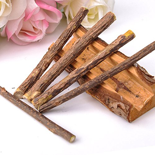 Andifany 5pzs Actinidia polygama Natural Bocadillo de Mascota Palillo para Masticar de Gato Juguete de Tratar Hierba gatera Comida Molar Menta de Gato
