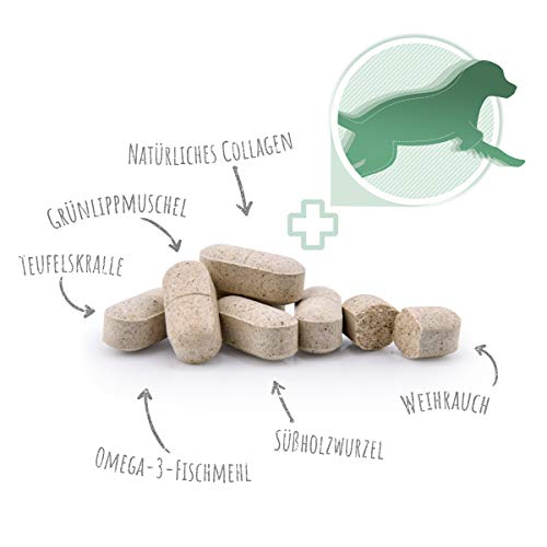 AniForte AgilityVET en Comprimidos para Perros. 120 Comprimidos. 100% Natural con Mejillón de Labios Verdes. Garra del Diablo, Colágeno, Glucosamina y Condroitina