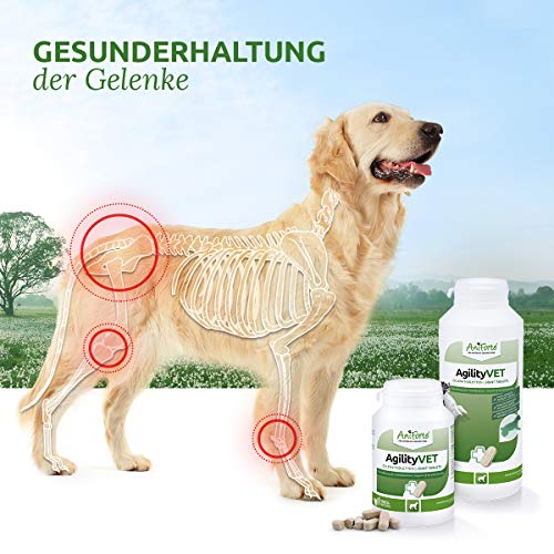 AniForte AgilityVET en Comprimidos para Perros. 120 Comprimidos. 100% Natural con Mejillón de Labios Verdes. Garra del Diablo, Colágeno, Glucosamina y Condroitina