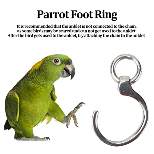 Anillo de Pie de Loro, 10 Piezas de Anillos de Entrenamiento de Pájaros de Acero Inoxidable Clip Accesorio de Vuelo de Loro Al Aire Libre para Entrenamiento de Pájaros