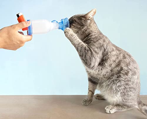 AnimHal Cat - Cámara de inhalación con máscara para Gatos - Fabricada en Francia - Diseñada para Las Enfermedades respiratorias felinas - Adecuada para Todos los Gatos