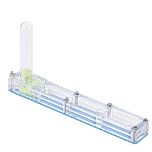 Ant Farm, Caja de AlimentacióN de Insectos, AcríLico Transparente, Nido para CríA De Hormigas, Caja de PresentacióN de Formicario Con Torre de Agua, Hidratante para Alimentar A las Hormigas (azul)