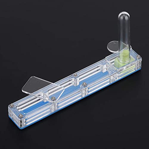 Ant Farm, Caja de AlimentacióN de Insectos, AcríLico Transparente, Nido para CríA De Hormigas, Caja de PresentacióN de Formicario Con Torre de Agua, Hidratante para Alimentar A las Hormigas (azul)