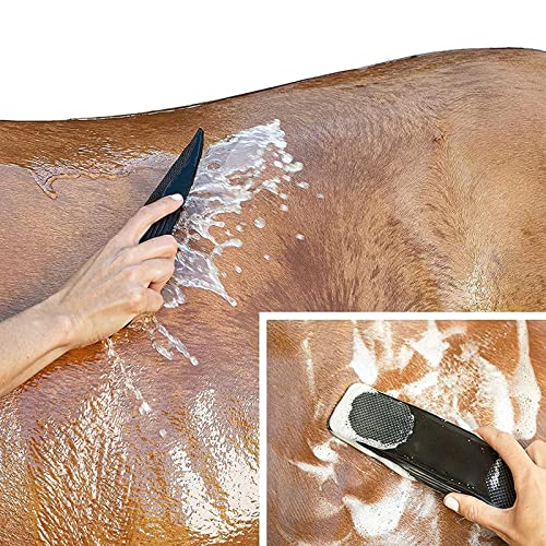 APCGK Peine de masaje para caballos, masaje 6 en 1, cepillo de aseo para mascotas, cepillo de aseo para mascotas, lavado de peine, eliminación de cabello suelto seco para caballos y perros (1 unidad)
