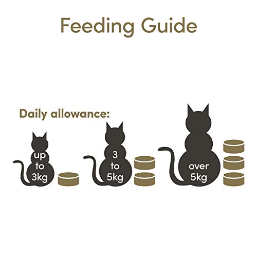 Applaws - Estaño para Gatos (24 x 70 g)