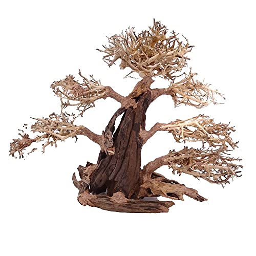AquaOne Árbol de bonsái XXL para acuario, raíz de madera oriental, 50 x 25 x 40 cm, decoración para acuarios