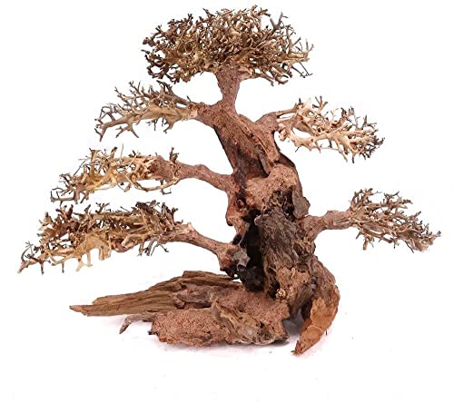 AquaOne Árbol de bonsái XXL para acuario, raíz de madera oriental, 50 x 25 x 40 cm, decoración para acuarios
