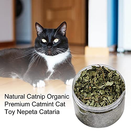 arbitra Catnip - Catnip 100 Natural se Utiliza en Gatos, Producción sudafricana | Gatos y Textos agrícolas sostenibles entusiastas del Animal ecológico