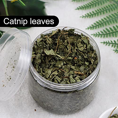 arbitra Catnip - Catnip 100 Natural se Utiliza en Gatos, Producción sudafricana | Gatos y Textos agrícolas sostenibles entusiastas del Animal ecológico