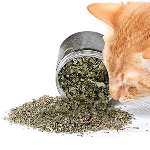 arbitra Catnip - Catnip 100 Natural se Utiliza en Gatos, Producción sudafricana | Gatos y Textos agrícolas sostenibles entusiastas del Animal ecológico