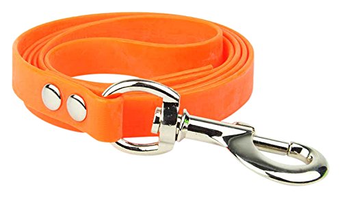 Arcea Polytec Correa para Perro, Naranja fosforito, Talla Única