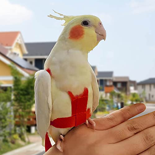 Arnés de loros ajustable para pájaros para mascotas, correa de cuerda de entrenamiento al aire libre, correa elástica antimordedura para pájaros, loros, cacatúas guacamayos (rojo, S)