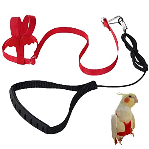 Arnés de loros ajustable para pájaros para mascotas, correa de cuerda de entrenamiento al aire libre, correa elástica antimordedura para pájaros, loros, cacatúas guacamayos (rojo, S)