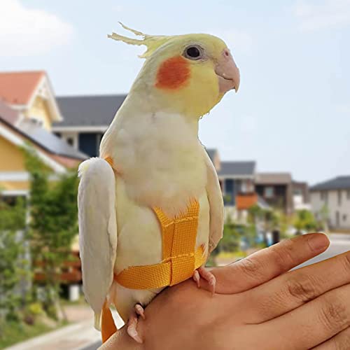 Arnés de loros ajustable para pájaros para mascotas, correa de cuerda de entrenamiento al aire libre, correa elástica antimordedura para pájaros, loros, cacatúas guacamayos (amarillo, XS)