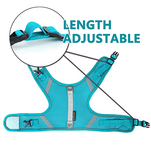 Arnes Gato Anti-Escape con Malla,Ajustable Arnés para Gato , Tiras Reflectantes de Borde Completo Que brindan protección para Gatos Que Caminan de Noche (XS, Verde)