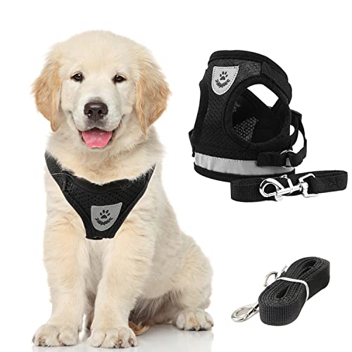 Arnes Gato, Mascota Correa Chaleco, Arnés Malla Tipo Chaleco, Arnés Ajustable para Gatos, Cat Vest Harness, Chaleco Tracción Gatos, Correr, Capacitación, Actividades Aire Libre