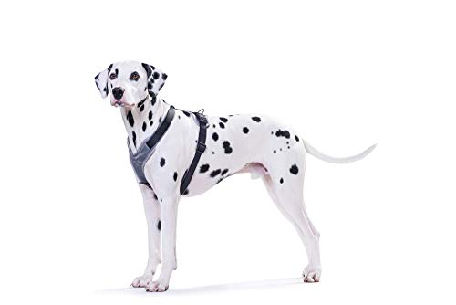 Arnés Hunter para perros, de nailon/neopreno, negro, 73-94
