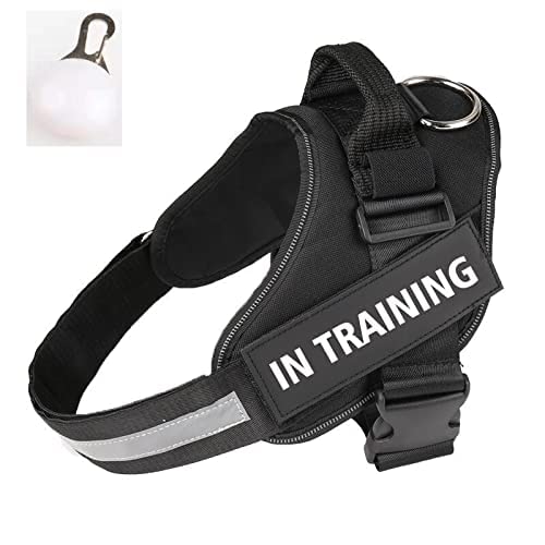Arnes para Perro de Seguridad, Ajustable, antitirones, Bola DE LUZ DE Regalo (L, Negro)