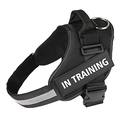 Arnes para Perro de Seguridad, Ajustable, antitirones, Bola DE LUZ DE Regalo (L, Negro)