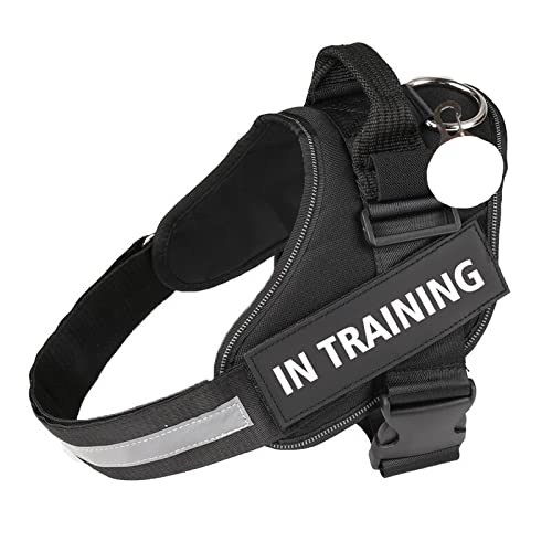 Arnes para Perro de Seguridad, Ajustable, antitirones, Bola DE LUZ DE Regalo (L, Negro)