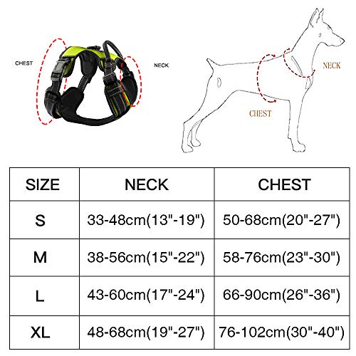 Arnés para Perro Grande Mediano Pequeño, Arnés Chaleco de Perros Antitirones Ajustable Cómodo Acolchado Chaleco para Perros Reflectante con 2 Anillos y Mango Resistente(Verde, L)