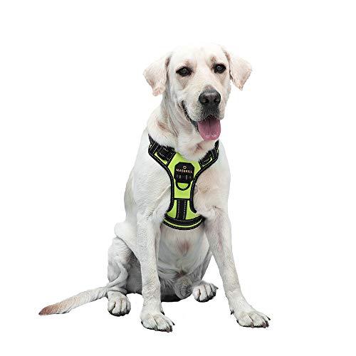 Arnés para Perro Grande Mediano Pequeño, Arnés Chaleco de Perros Antitirones Ajustable Cómodo Acolchado Chaleco para Perros Reflectante con 2 Anillos y Mango Resistente(Verde, L)