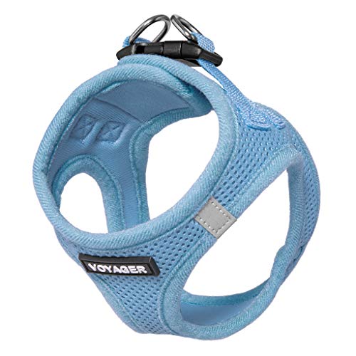 Arnés para perros Voyager Step-in Air – Malla para todo tipo de clima, arnés para perros pequeños y medianos por Best Pet Supplies – azul bebé (ajuste de ajuste), M (pecho: 16-18") (207T-BBW-M)