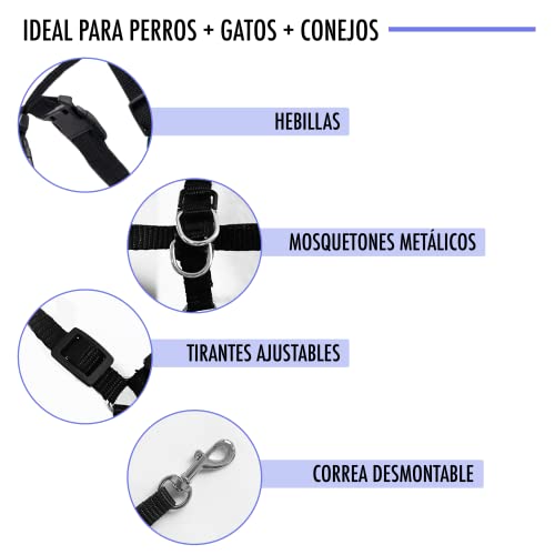 Arnés Perro Pequeño Ajustable a Diferentes Tamaños. Incluye Correa Perro Antitirones. Arnés XS Ideal para Perro Pequeño y Gatos.