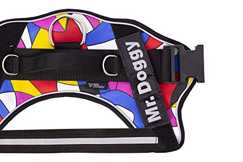 Arnés Personalizado para Perros - Estampado - Reflectante - Incluye 2 Etiquetas Personalizables con Nombre - Todos los Tamaños (Estampado, M 12,5-20KG) (XS 3-7KG, Estampado)