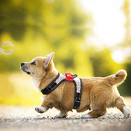 Arnés reflectante para perros Espárragos Nylon Pit Perro pequeño mediano Chaleco tripulado Bowknot Accesorios para perros Suministros para mascotas Arnés para perros Arnés para cachorros Arnés par