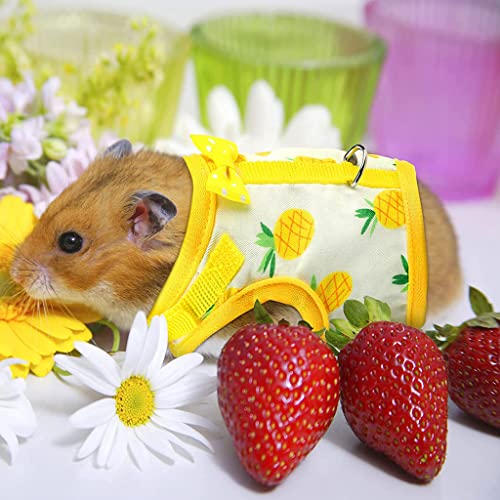 Arnés y correa de conejito de indias chaleco de conejo para caminar hurón chinchilla hámster ardilla encantador disfraz 3 tamaños 2 colores