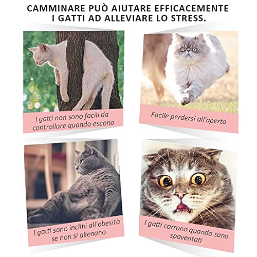Arnés y correa para gatos - Arnés antifuga para paseos al aire libre - Arnés para mascotas fácil de controlar, apto para todos los tipos de cachorros y gatos (Pink, M)