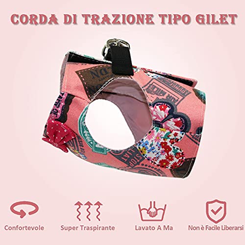 Arnés y correa para gatos - Arnés antifuga para paseos al aire libre - Arnés para mascotas fácil de controlar, apto para todos los tipos de cachorros y gatos (Pink, M)