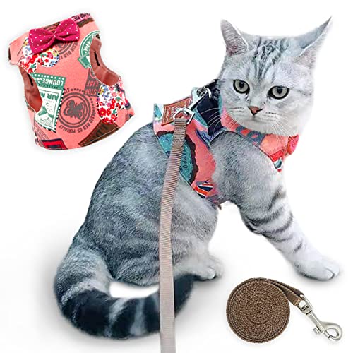 Arnés y correa para gatos - Arnés antifuga para paseos al aire libre - Arnés para mascotas fácil de controlar, apto para todos los tipos de cachorros y gatos (Pink, M)