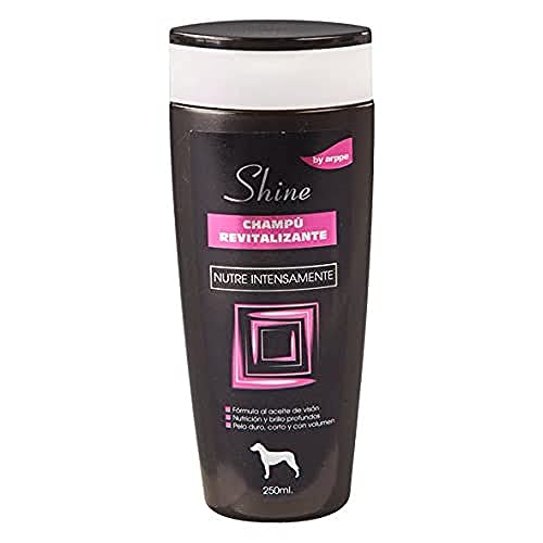 Arppe 2921012500 Champú Shine Revitalizante, 250 ml