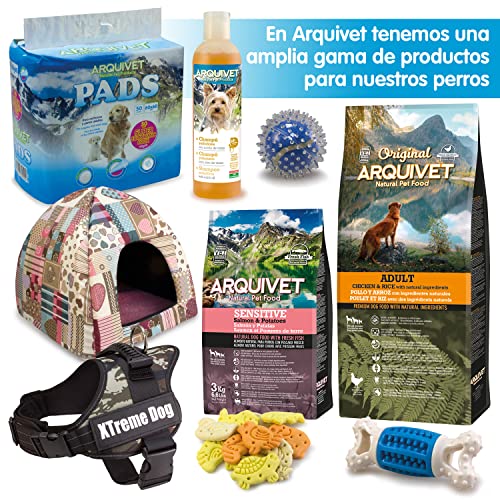 ARQUIVET Asiento de Coche Confort para Mascotas - 46 x 31 x 31 cm - Bolsa para el Transporte Seguro de Perros y Gatos - Transportín para Mascotas - Protector Coche Perros para Asiento