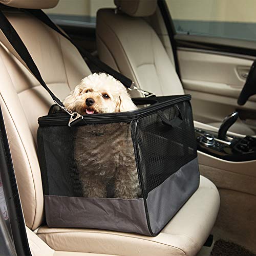 ARQUIVET Asiento de Coche Confort para Mascotas - 46 x 31 x 31 cm - Bolsa para el Transporte Seguro de Perros y Gatos - Transportín para Mascotas - Protector Coche Perros para Asiento