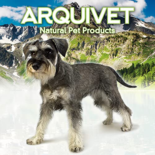 ARQUIVET Asiento de Coche Confort para Mascotas - 46 x 31 x 31 cm - Bolsa para el Transporte Seguro de Perros y Gatos - Transportín para Mascotas - Protector Coche Perros para Asiento