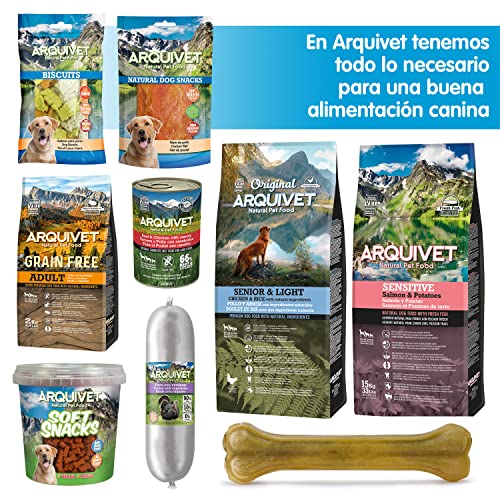 ARQUIVET Asiento de Coche Confort para Mascotas - 46 x 31 x 31 cm - Bolsa para el Transporte Seguro de Perros y Gatos - Transportín para Mascotas - Protector Coche Perros para Asiento