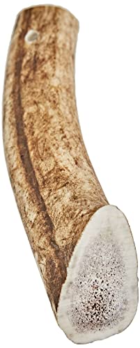Arquivet Asta de ciervo - Mordedor ecológico para perros - Cuerno de ciervo para perros - Masticador natural perros - Asta de ciervo caída natural - L (76-150 g)