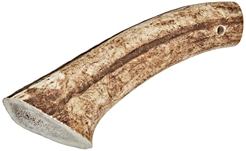 Arquivet Asta de ciervo - Mordedor ecológico para perros - Cuerno de ciervo para perros - Masticador natural perros - Asta de ciervo caída natural - L (76-150 g)