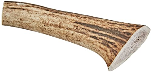 Arquivet Asta de ciervo - Mordedor ecológico para perros - Cuerno de ciervo para perros - Masticador natural perros - Asta de ciervo caída natural - L (76-150 g)