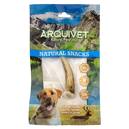 ARQUIVET Asta de Ciervo - Mordedor ecológico Perros - Cuerno de Ciervo para Perros - Masticador Natural Perros - Asta de Ciervo caída Natural -S (15-39 g)
