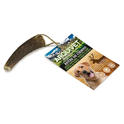 ARQUIVET Asta de Ciervo - Mordedor ecológico Perros - Cuerno de Ciervo para Perros - Masticador Natural Perros - Asta de Ciervo caída Natural -S (15-39 g)