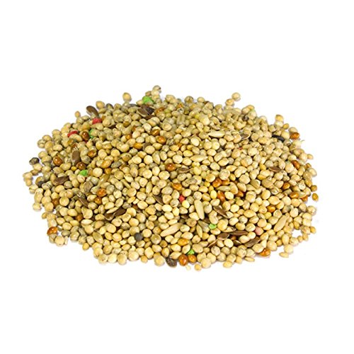 Arquivet Mixtura exóticos - 1 kg