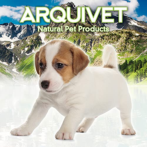 Arquivet Pelota Goma Maciza 9 cm - Juguetes y Accesorios para Perros - Entretenimiento y Ejercicio canino - Jugar con tu Mascota Mejora el vínculo afectivo, Rojo