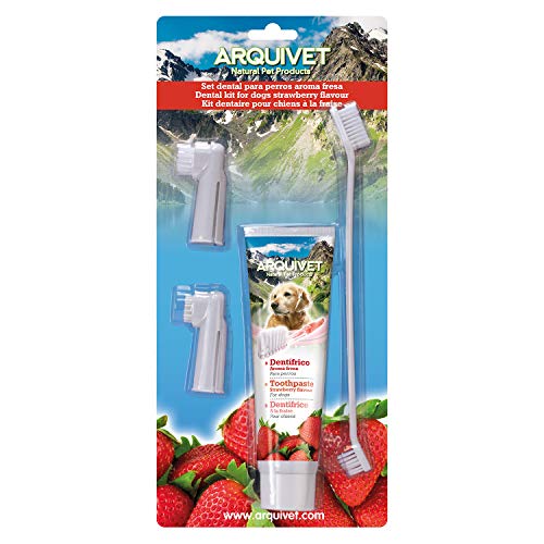 Arquivet Set Dental fresa - cepillos pasta dentrífica - higiene perros